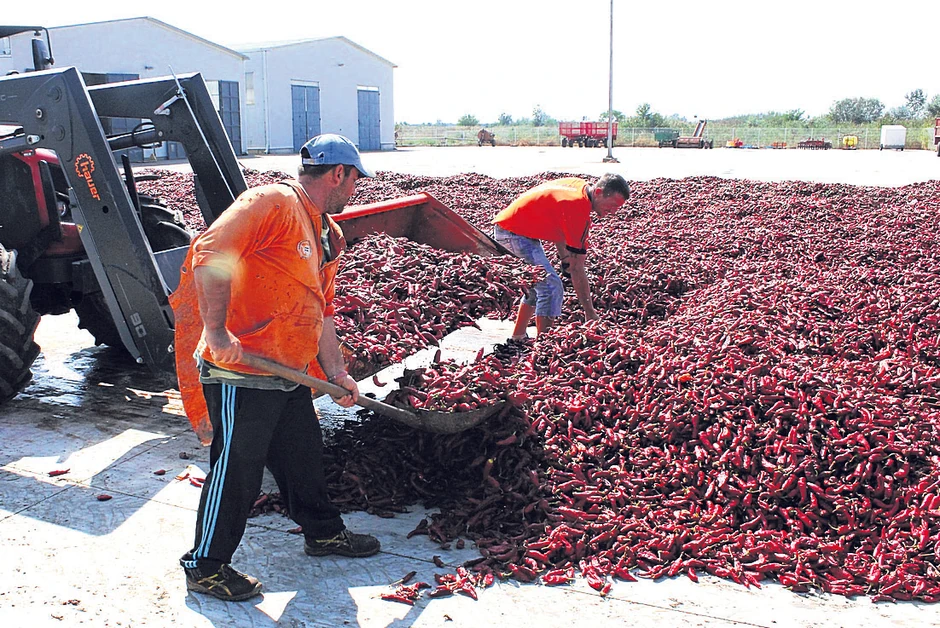 Nekoliko proizvođača i dalje ne posustaje