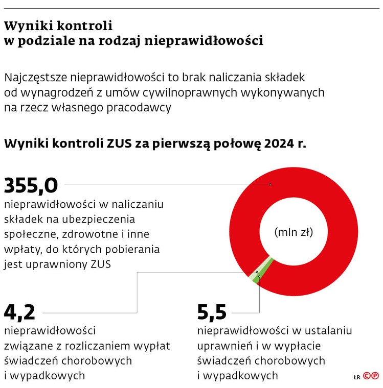Wyniki kontroli w podziale na rodzaj nieprawidłowości
