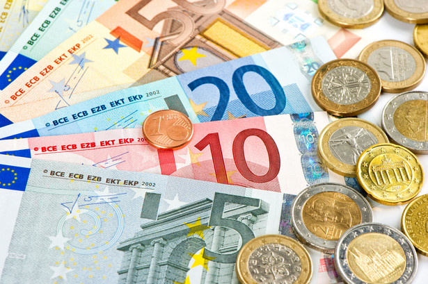 Złoty stabilny wobec euro