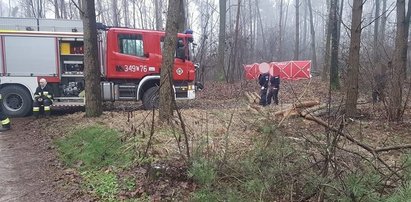 Tragiczna śmierć 48-latka w czasie wycinki drzew pod Toruniem. Nowe szokujące fakty