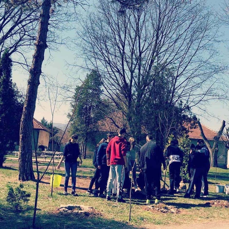 U OŠ "Branislav Nušić u Donjoj Trnavi sade 68 sadnica belog bagrema Balaševiću 