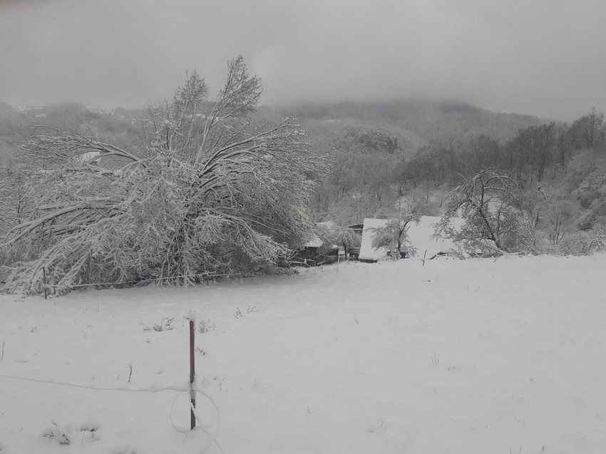 Sneg u Ivanjici intenzivno pada već satima