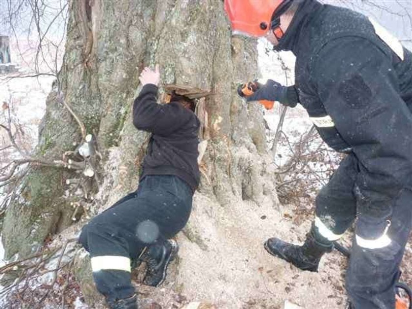 Uratowali szczeniaki