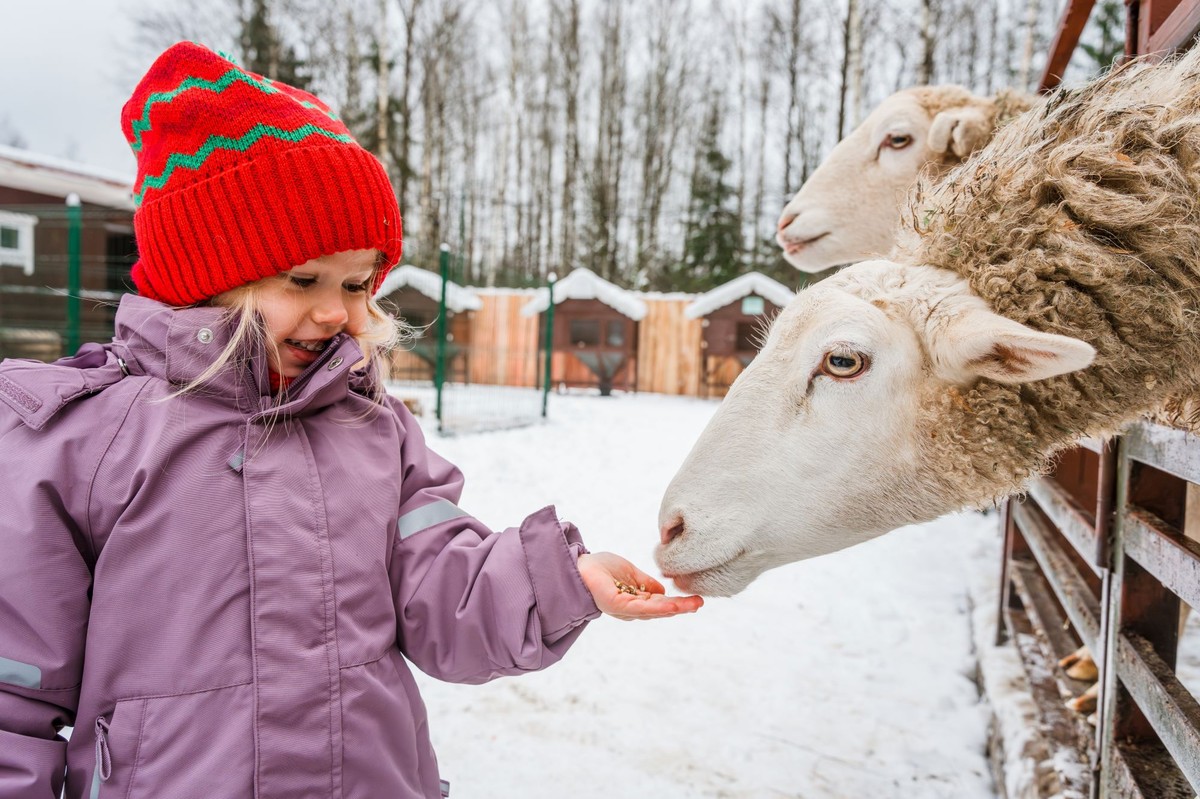 Tańsze ferie zimowe dla dzieci z określonych roczników