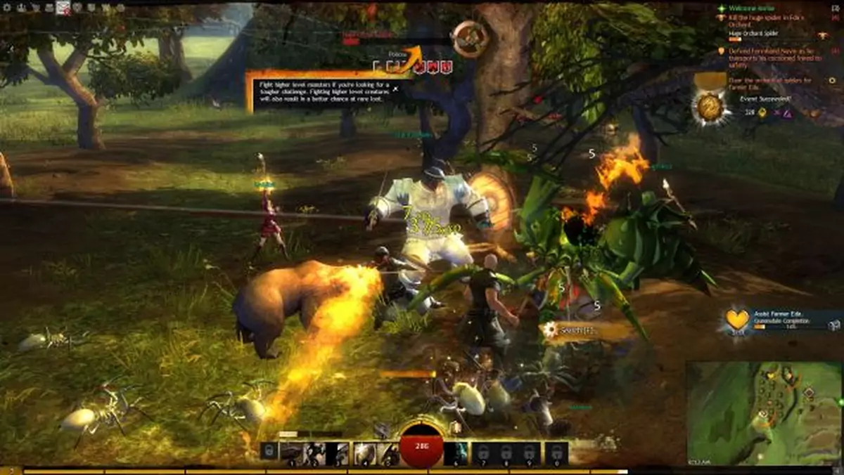 Chiny kochają Guild Wars 2. NCsoft kocha Chiny