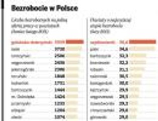 Oto największe siedliska bezrobocia w Polsce