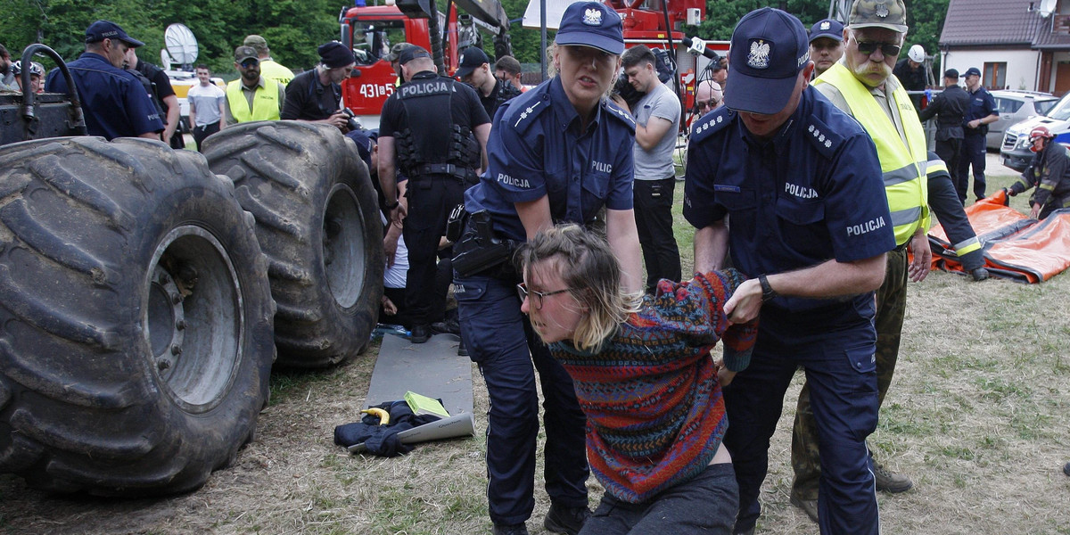 protest Greenpeace w Puszczy Białowieskiej