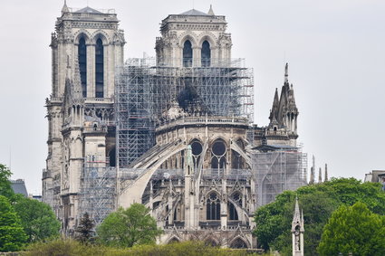 Apple deklaruje wsparcie odbudowy katedry Notre Dame