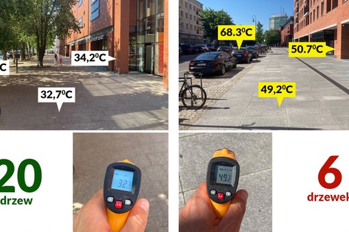 Zielona Fala Trójmiasto, pomiar temperatury