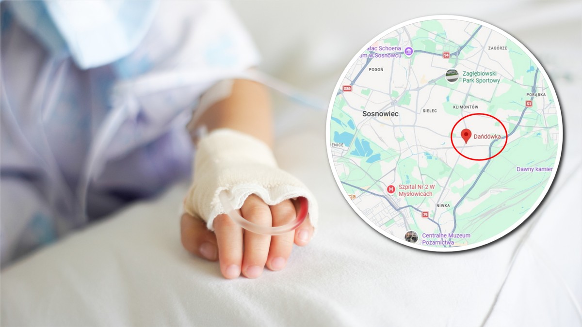 8-latka w ciężkim stanie. Wiadomo, co działo się przed atakiem psów