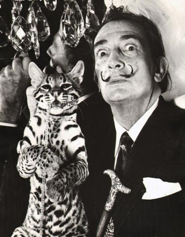 Babou, malowany ocelot Salvadora Dali