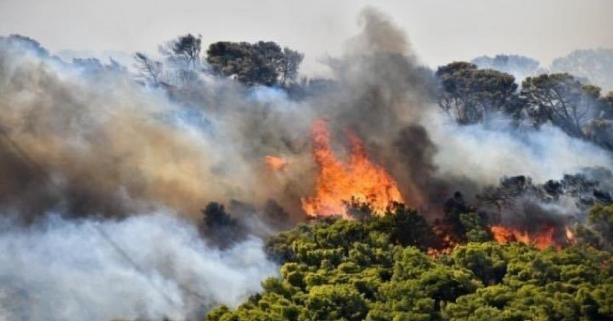 Un incendio masivo en Chipre.  No ha estado allí en 20 años