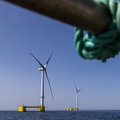 ZE PAK i duński Orsted chcą wspólnie budować farmy wiatrowe na Bałtyku