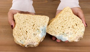 Buđav hleb ne treba jesti, čak ni kada se plesan skine