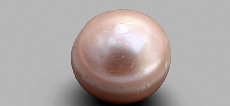 Odnaleziono najstarszą perłę - ma osiem tys. lat!
