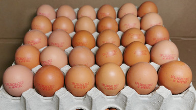 GIS ostrzega przed salmonellą w partiach jajek Przedsiębiorstwa Wielobranżowego Gallus