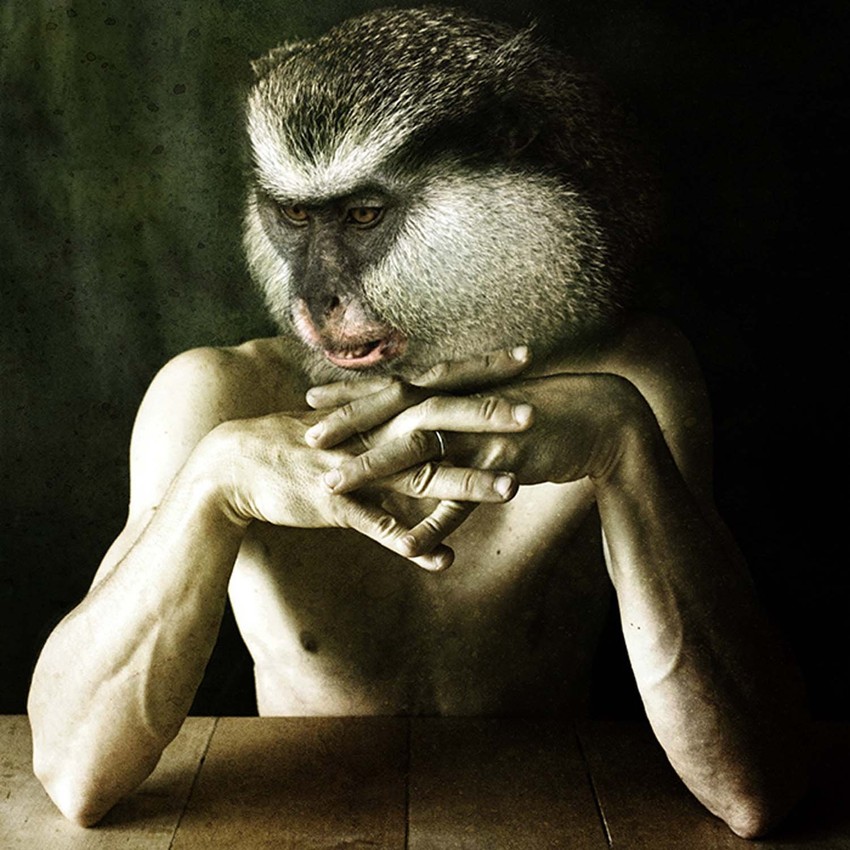 Foto: Francesco Sambo