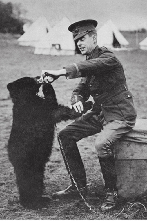 Porucznik Harry Colbourn z niedźwiedzicą Winnie