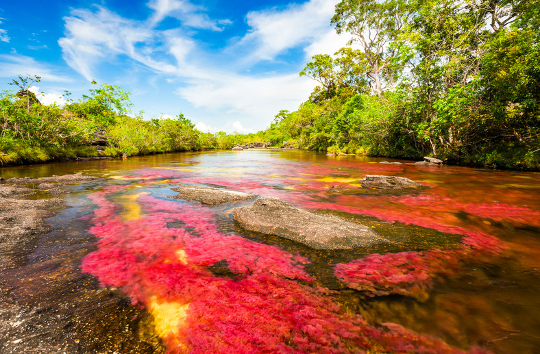 Cano Cristales