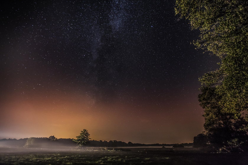 Nocą poluję na gwiazdy