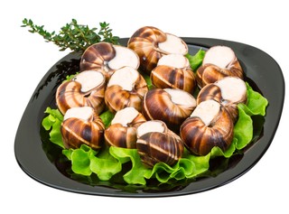 Nieoczywista gospodarcza cena ślimaka winniczka [OPINIA]