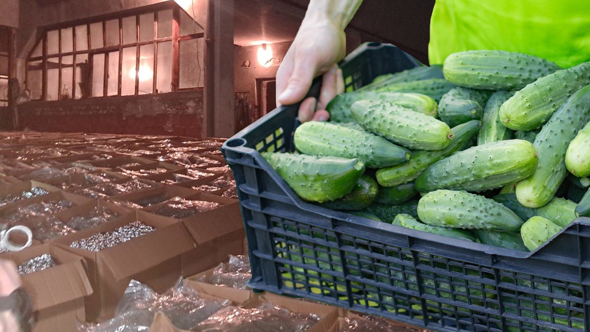 REKORDNA ZAPLENA DROGE U ISTORIJI SRPSKE POLICIJE