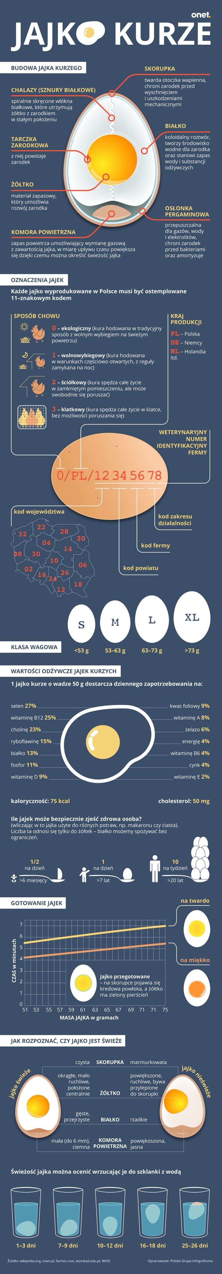 jajka_infografika