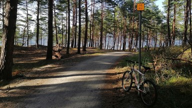 Zwiedziłem ścieżki rowerowe w Krynicy Morskiej. To niezapomniane widoki