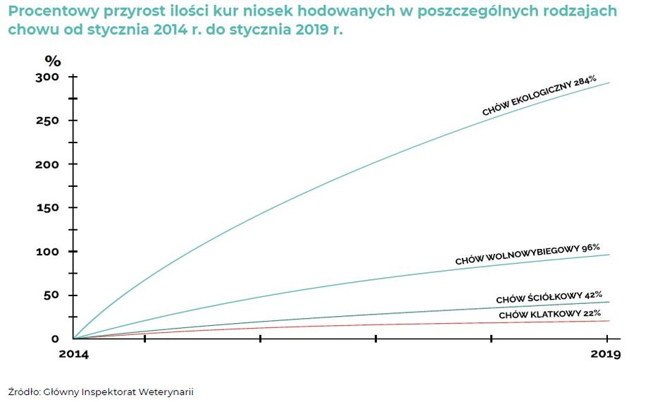 Przyrost kur niosek w Polsce