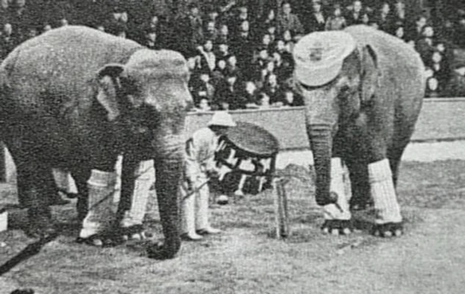 Slonovi su bili popularna cirkuska atrakcija u SAD početkom 20. veka