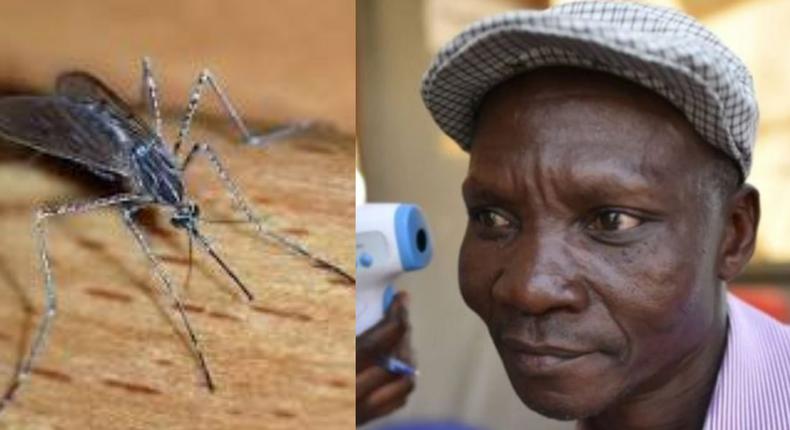 Man whose fart kills mosquitoes has been hired to produce belly gas for repellent