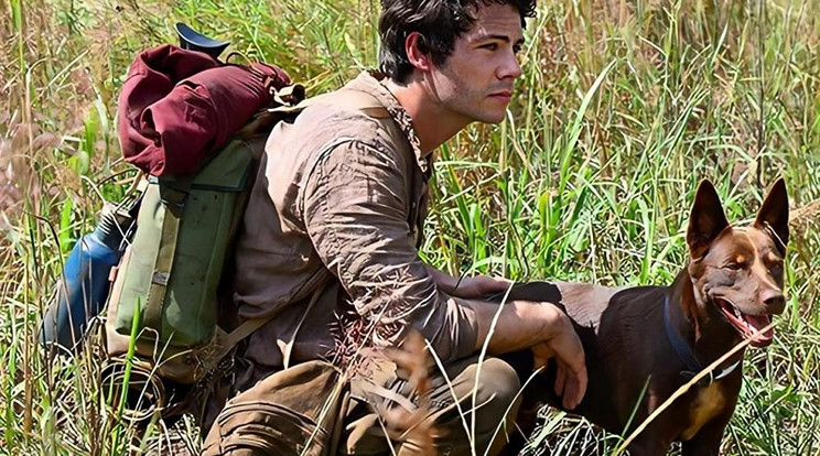 Semmi nem állhat Joel (Dylan O'Brien) és kutyusa útjába - még néhány nagyra nőtt rovar sem / Fotó: IMDb