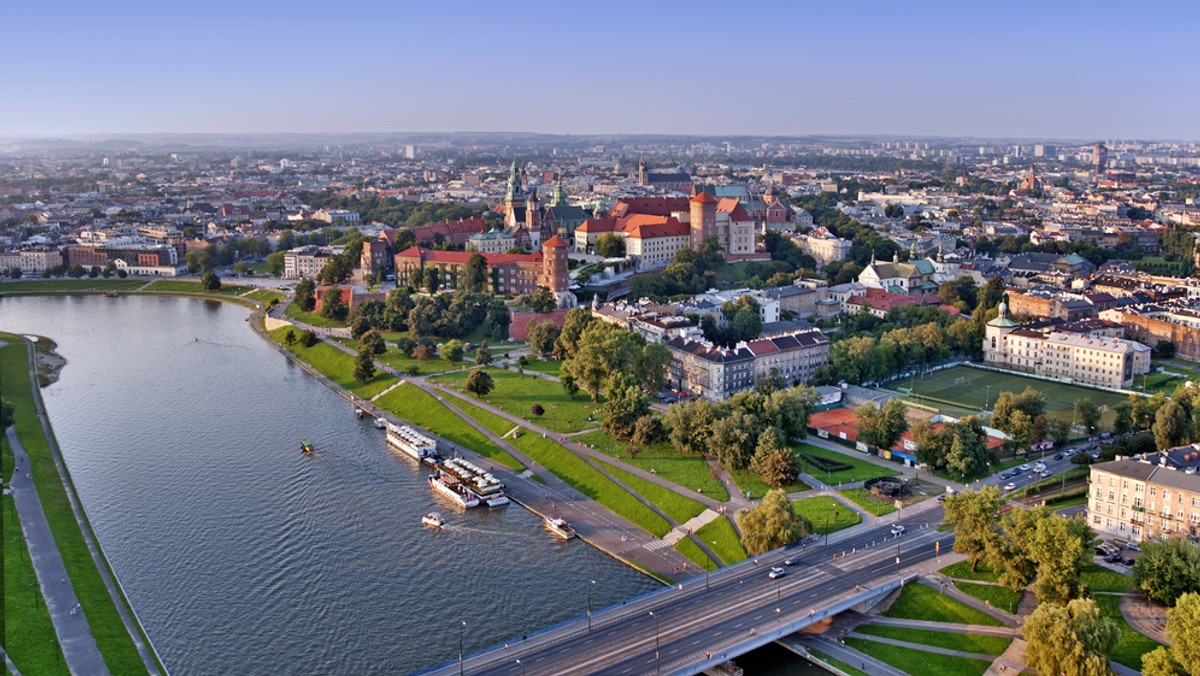 W lutym pod topór w Krakowie ma pójść 130 drzew - podaje MM Kraków. Pełny wykaz planowanych wycinek jest dostępny na stronie na zikit.krakow.pl.