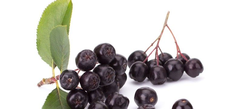 Aronia – lek na choroby cywilizacyjne. Do czego można dodawać sok z aronii?