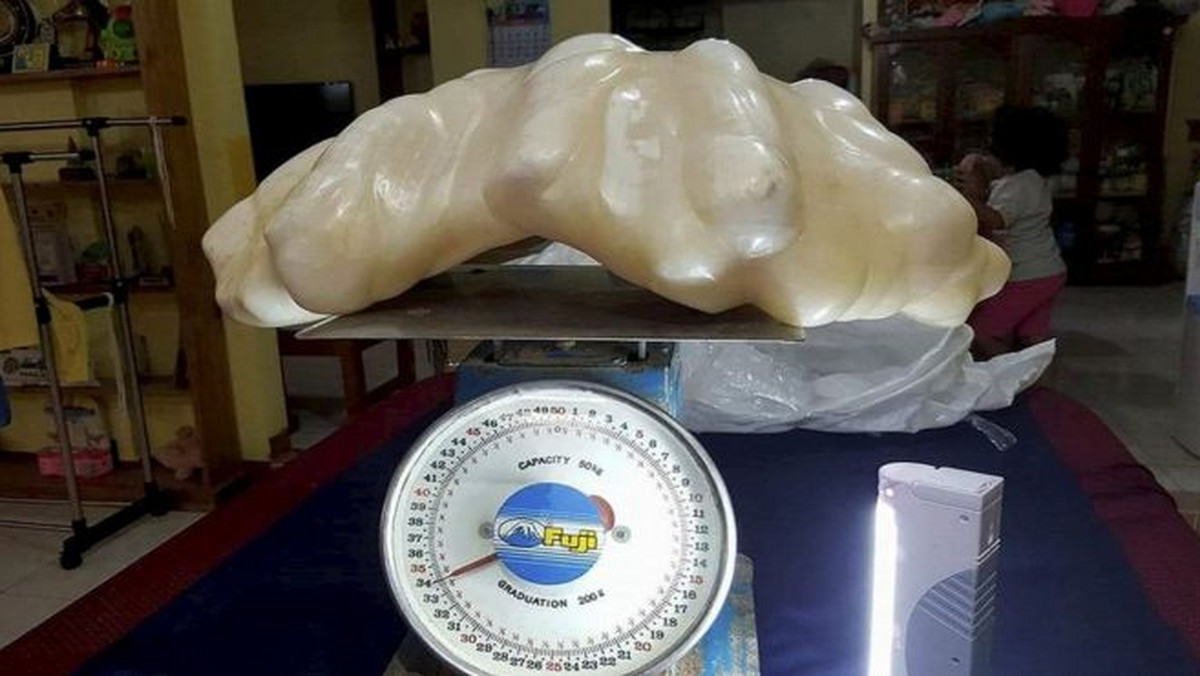 Na Filipinach odkryto największą perłę świata - podała we wtorek BBC. Waży 34 kilogramy, a wytworzył ją największy małż świata, zwany przydacznią olbrzymią.