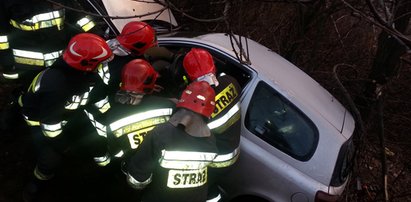 Auto runęło z wiaduktu i zatrzymało się na drzewie