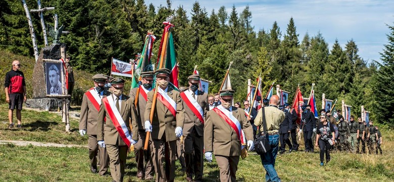 Tajemnice Lasów Państwowych. Zamiast kontroli dalsze naciski. "Mamy bronić pana dyrektora"