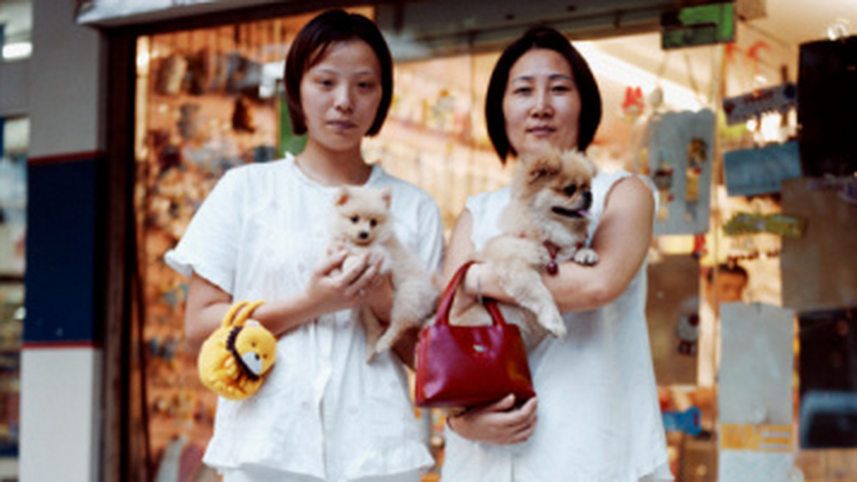Jeszcze niedawno w stolicy Chin nie było prawie żadnych psów, a jeśli nawet jakiś się znalazł, najczęściej kończył na talerzu. Teraz Chińczycy oszaleli na punkcie czworonożnych pupili.