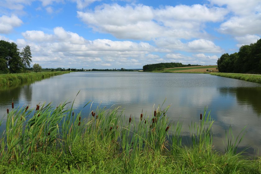 Chciał utopić wędkarza