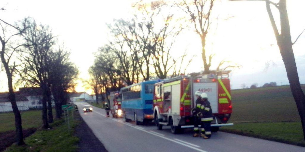 Wiatr przewrócił drzewo na przejeżdzający autobus 