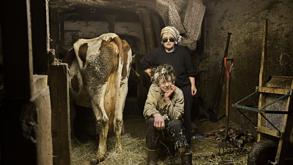 "Mleczne siostry", dokument w reżyserii Petera Gerdehaga to hit frekwencyjny szwedzkiego kina i laureat Złotego Rogu na Krakowskim Festiwalu Filmowym. Przebój niekwestionowany, choć paradoksalny, portretujący życie dwóch staruszek pracujących na mlecznej farmie.