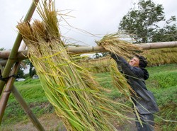Tajfun Roke szaleje nad Japonią. Kataklizm zabija ludzi