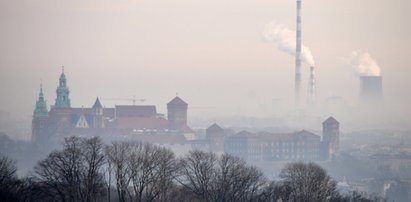 Instalacje, które pochłaniają smog. Czy są naprawdę skuteczne?