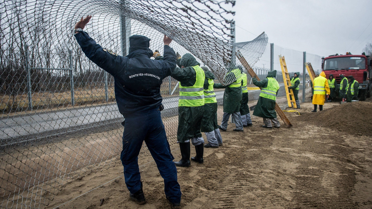 Węgrzy budują nowe ogrodzenie na granicy z Serbią
