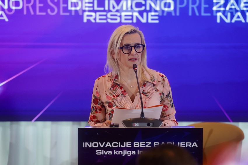 Siva knjiga inovacija