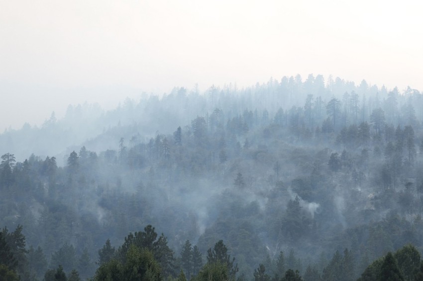 Požar u Kaliforniji, Rajtvud, 11. septembar