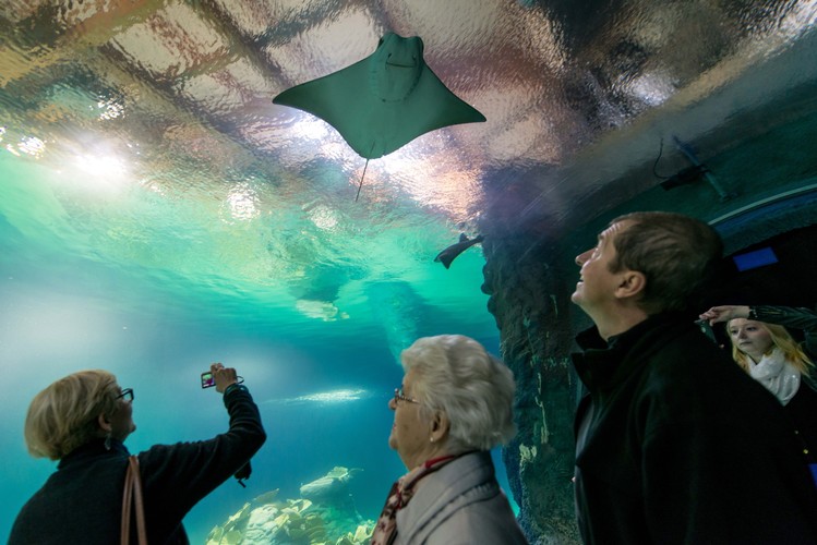 Wrocławskie Afrykarium