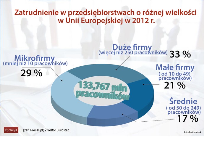 Z łącznej liczby 133,8 mln pracowników zatrudnionych w 2012 r. w UE największą grupę stanowili pracownicy największych przedsiębiorstw. W firmach, które zatrudniały ponad 250 pracowników pracowała 1/3 wszystkich zatrudnionych. W mikrofilmach pracę znalazło 29 proc. pracowników.