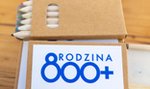 Rusza nabór na 800 plus. Na co idą te pieniądze?