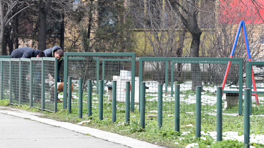 Psi pušteni da se istrčavaju i na samom igralištu